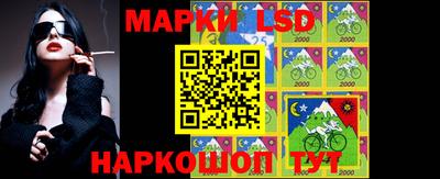 МДПВ Ярославль